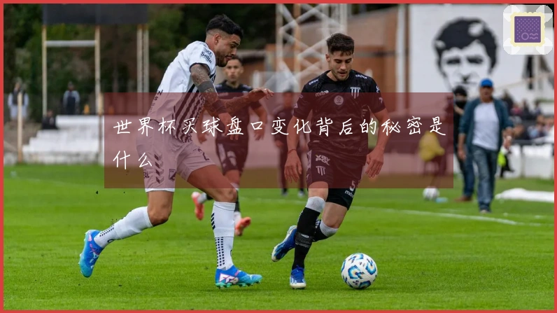 世界杯买球盘口变化背后的秘密是什么
