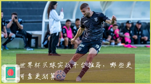 世界杯买球实战平台推荐，哪些更可靠更划算