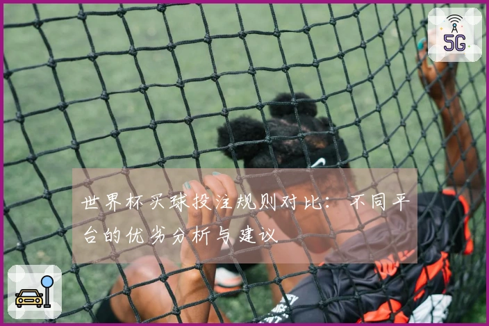 世界杯买球投注规则对比：不同平台的优劣分析与建议