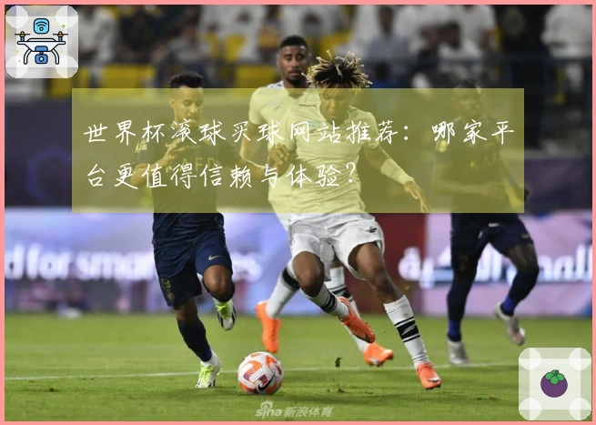 世界杯滚球买球网站推荐：哪家平台更值得信赖与体验？