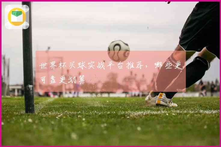 世界杯买球实战平台推荐，哪些更可靠更划算