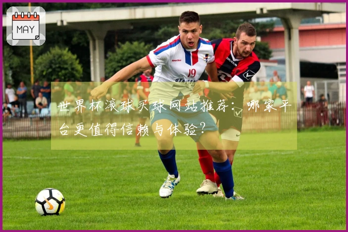 世界杯滚球买球网站推荐：哪家平台更值得信赖与体验？