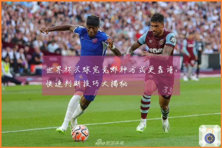 世界杯买球究竟哪种方式更靠谱，快速判断技巧大揭秘