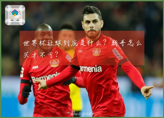 世界杯让球到底是什么？新手怎么买才不亏？