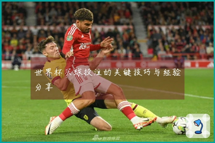 世界杯买球投注的关键技巧与经验分享