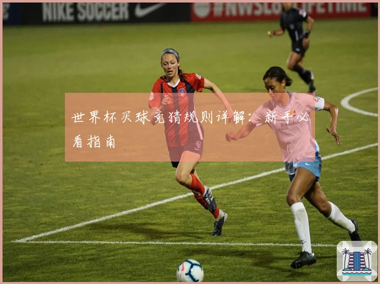 世界杯买球竞猜规则详解：新手必看指南