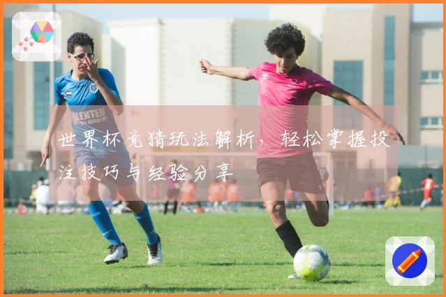 世界杯竞猜玩法解析，轻松掌握投注技巧与经验分享
