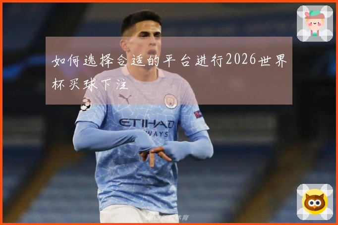如何选择合适的平台进行2026世界杯买球下注