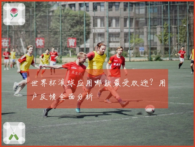 世界杯滚球应用哪款最受欢迎？用户反馈全面分析