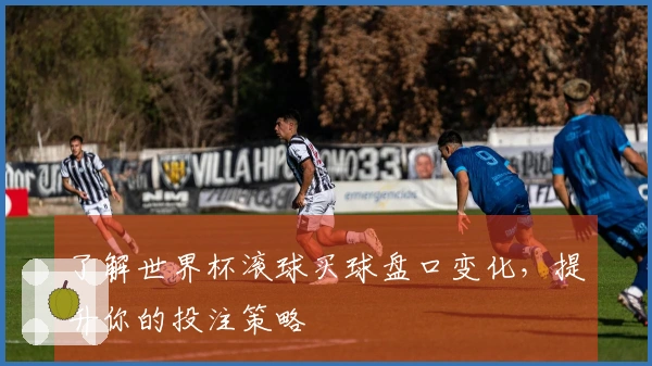 了解世界杯滚球买球盘口变化，提升你的投注策略