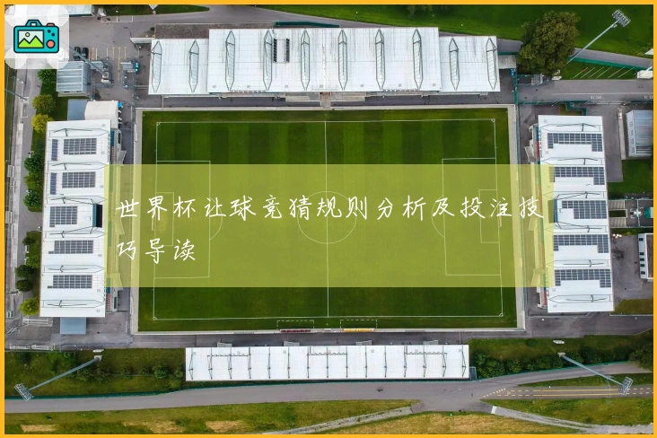 世界杯让球竞猜规则分析及投注技巧导读