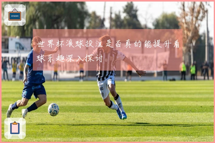 世界杯滚球投注是否真的能提升看球乐趣深入探讨