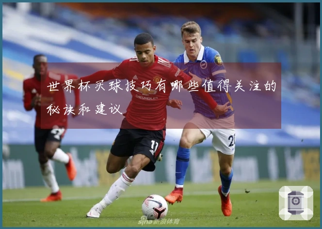 世界杯买球技巧有哪些值得关注的秘诀和建议