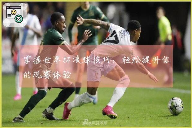掌握世界杯滚球技巧，轻松提升你的观赛体验