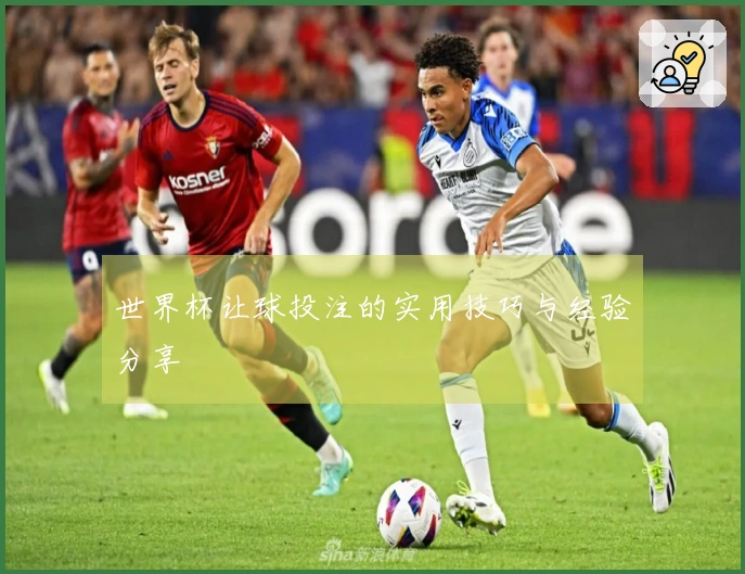 世界杯让球投注的实用技巧与经验分享