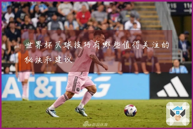 世界杯买球技巧有哪些值得关注的秘诀和建议