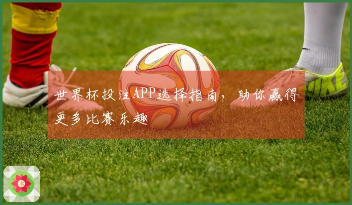 世界杯投注APP选择指南，助你赢得更多比赛乐趣