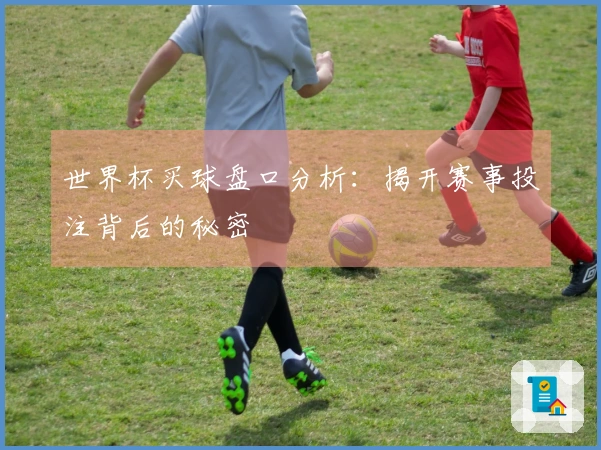世界杯买球盘口分析：揭开赛事投注背后的秘密