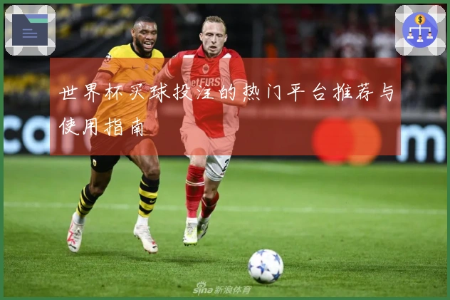 世界杯买球投注的热门平台推荐与使用指南