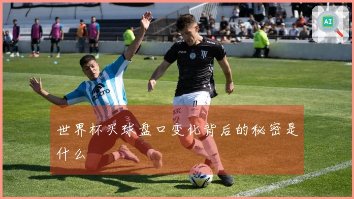 世界杯买球盘口变化背后的秘密是什么