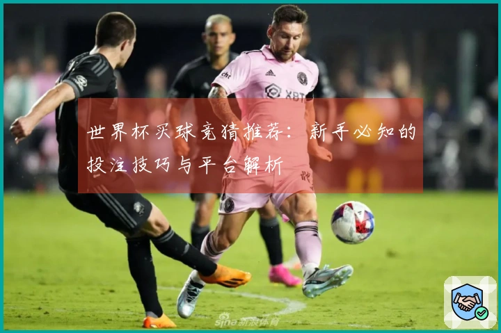 世界杯买球竞猜推荐：新手必知的投注技巧与平台解析